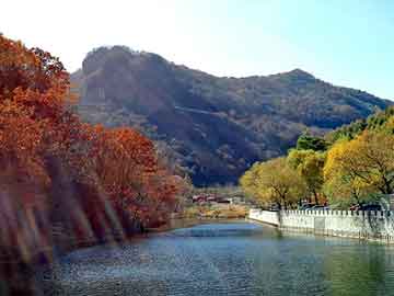 新澳天天开奖资料大全旅游团，小强泛目录